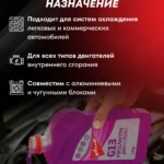 FRIZANTIN® G13